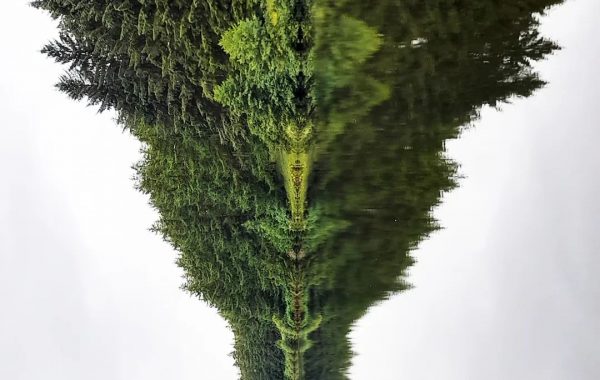 373531074_790835353041888_3591817171929669968_n